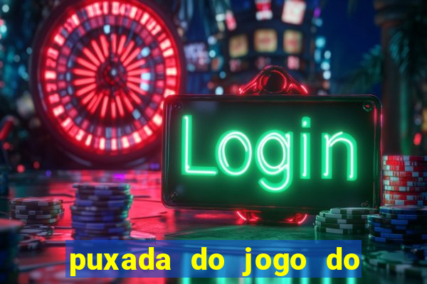 puxada do jogo do bicho da sueli